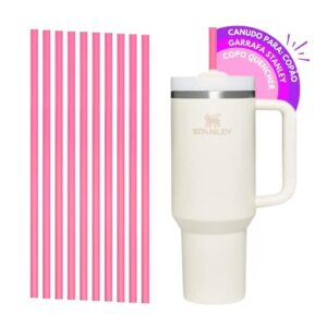 Canudo Reutilizavel, Canudo para Copos 1200ml , Kit Canudos Substituição, Canudos Pink para copão 31cm