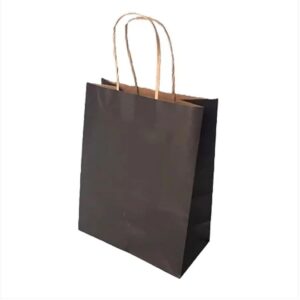 10 Sacola De Papel Kraft Presente Colorida 17,5x8,5x21,5cm Preto